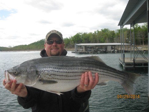 Nice Striped Bass
